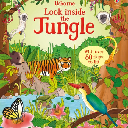 Look Inside the Jungle