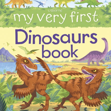 My Very First Dinosaurs Book