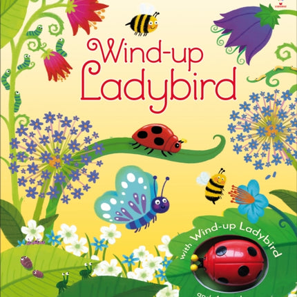 Wind-up Ladybird