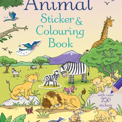 Animal Sticker and Colouring Book