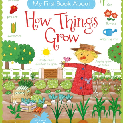 My First Book About How Things Grow