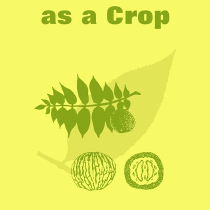 Black Walnut as a Crop