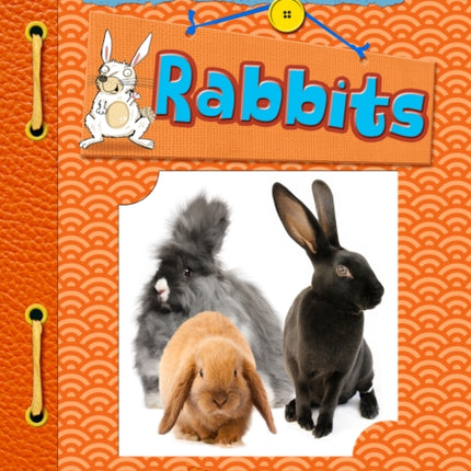 Rabbits