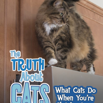 The Truth about Cats: What Cats Do When You're Not Looking