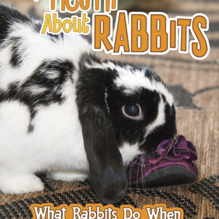 The Truth about Rabbits: What Rabbits Do When You're Not Looking