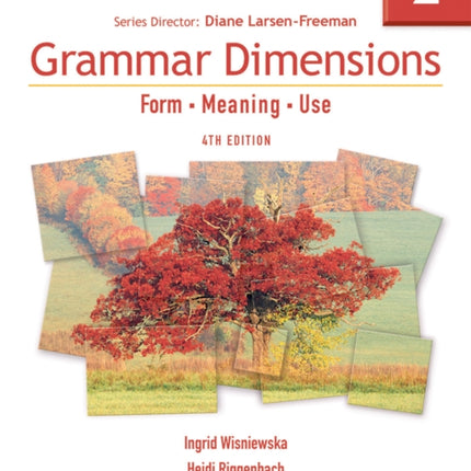 Grammar Dimensions 2: Form, Meaning, Use