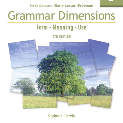 Grammar Dimensions 3