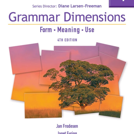 Grammar Dimensions 4: Form, Meaning, Use