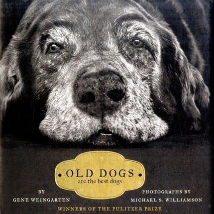 Old Dogs: Are the Best Dogs