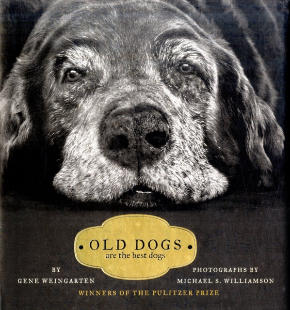 Old Dogs: Are the Best Dogs