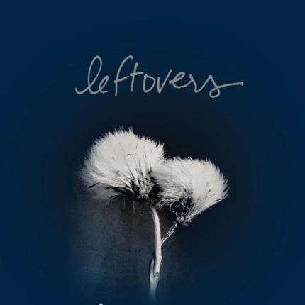Leftovers