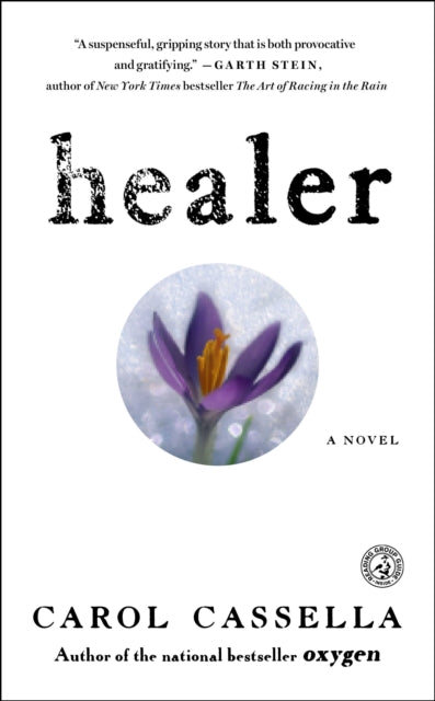 Healer: A Novel