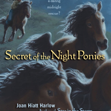 Secret of the Night Ponies