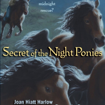 Secret of the Night Ponies