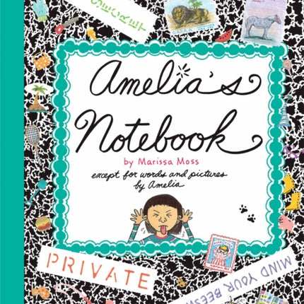 Amelia's Notebook