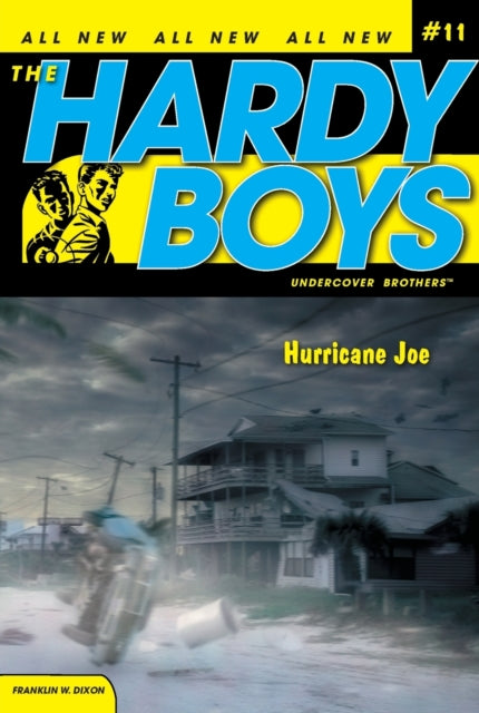 Hurricane Joe Volume 11 Hardy Boys All New Undercover Brothers