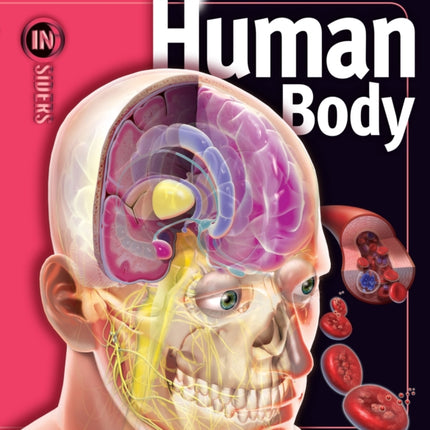 Human Body