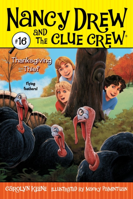 Thanksgiving Thief Volume 16 Nancy Drew and the Clue Crew