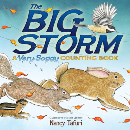 The Big Storm: A Very Soggy Counting Book