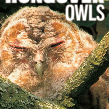 Hungover Owls