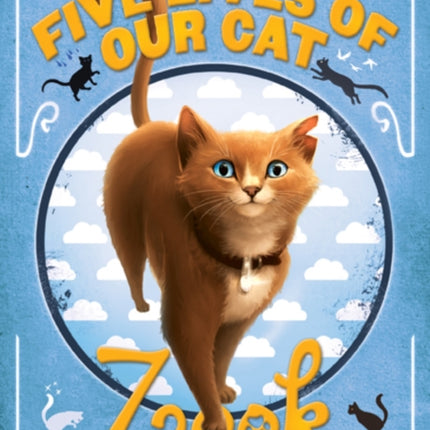 The Five Lives of Our Cat Zook