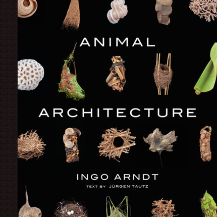 Animal Architecture