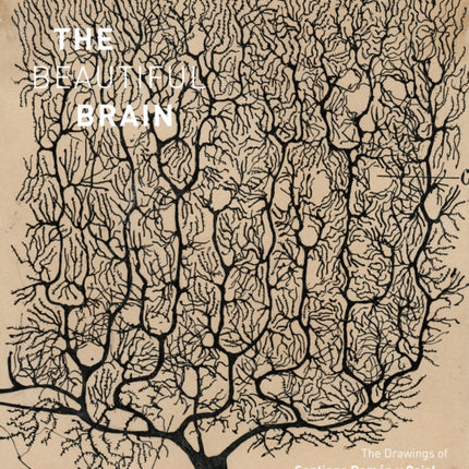 The Beautiful Brain: The Drawings of Santiago Ramon y Cajal