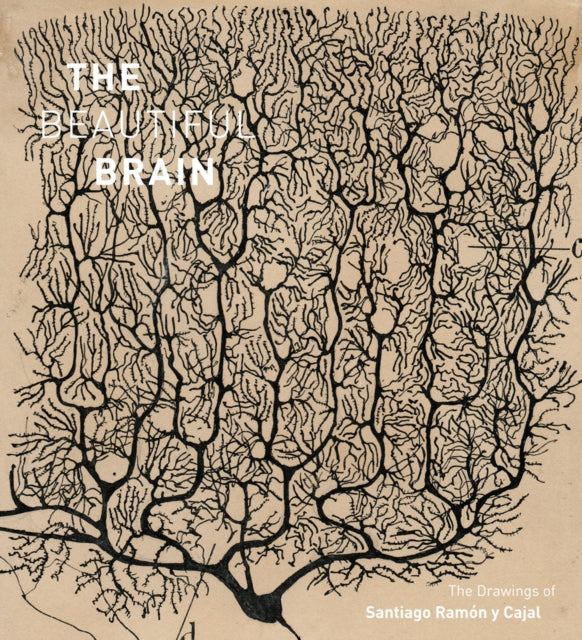 The Beautiful Brain: The Drawings of Santiago Ramon y Cajal