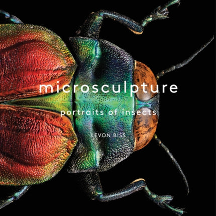 Microsculpture: Portraits of Insects