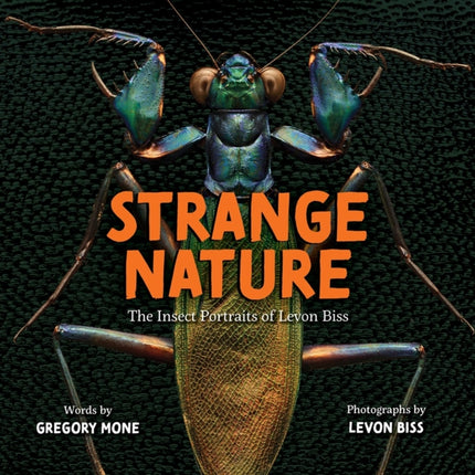 Strange Nature: The Insect Portraits of Levon Biss