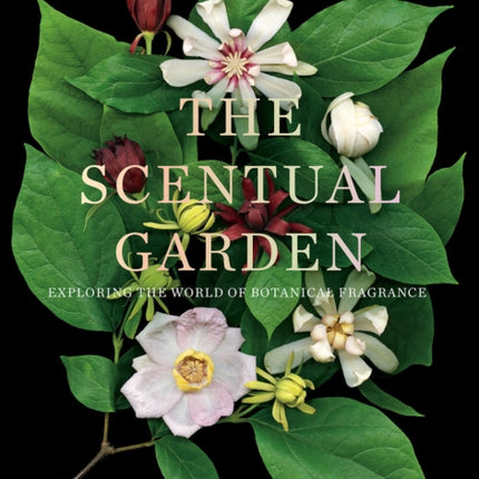 The Scentual Garden: Exploring the World of Botanical Fragrance