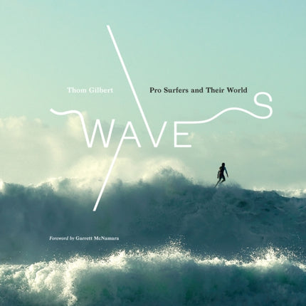 Waves: Pro Surfers and Their World