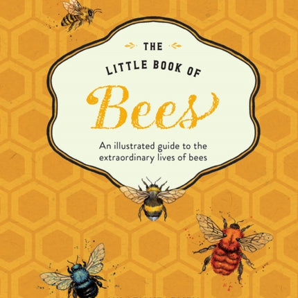 The Little Book of Bees: An Illustrated Guide to the Extraordinary Lives of Bees