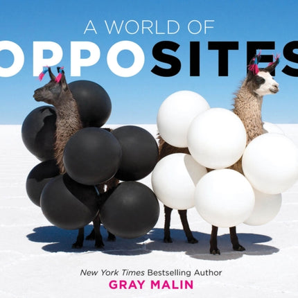 A World of Opposites 1