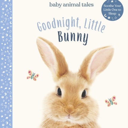 Goodnight, Little Bunny