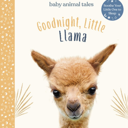 Goodnight, Little Llama