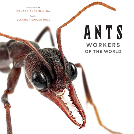 Ants: Workers of the World