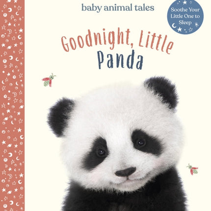 Goodnight, Little Panda