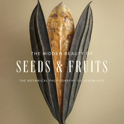 The Hidden Beauty of Seeds & Fruits: The Botanical Photography of Levon Biss