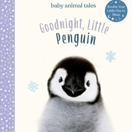 Goodnight Little Penguin