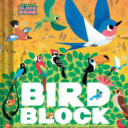 Birdblock an Abrams Block Book