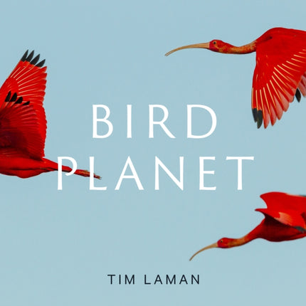 Bird Planet: A Photographic Journey