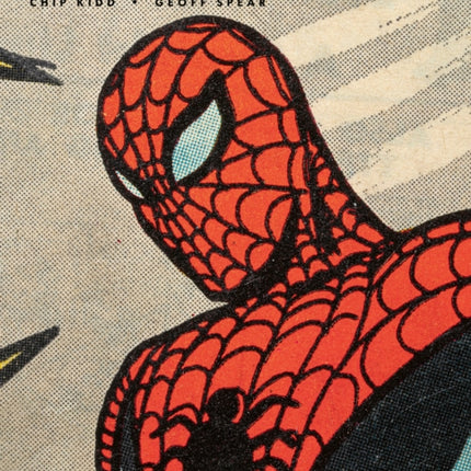 SpiderMan Panel by Panel
