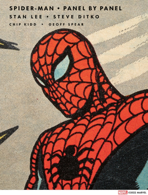 SpiderMan Panel by Panel