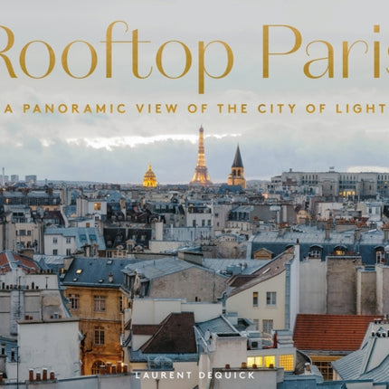 Rooftop Paris: A Panoramic View of the City of Light