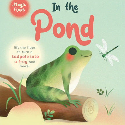 In the Pond: A Magic Flaps Book