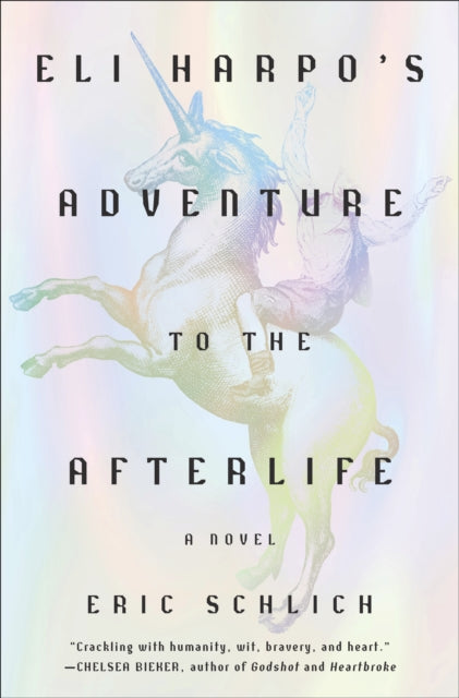 Eli Harpo's Adventure to the Afterlife: A Novel