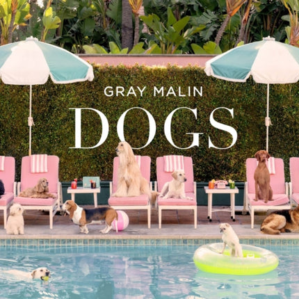 Gray Malin Dogs