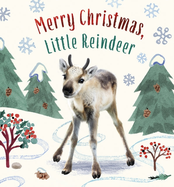 Merry Christmas Little Reindeer