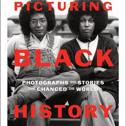 Picturing Black History